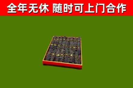 临潭回收海参